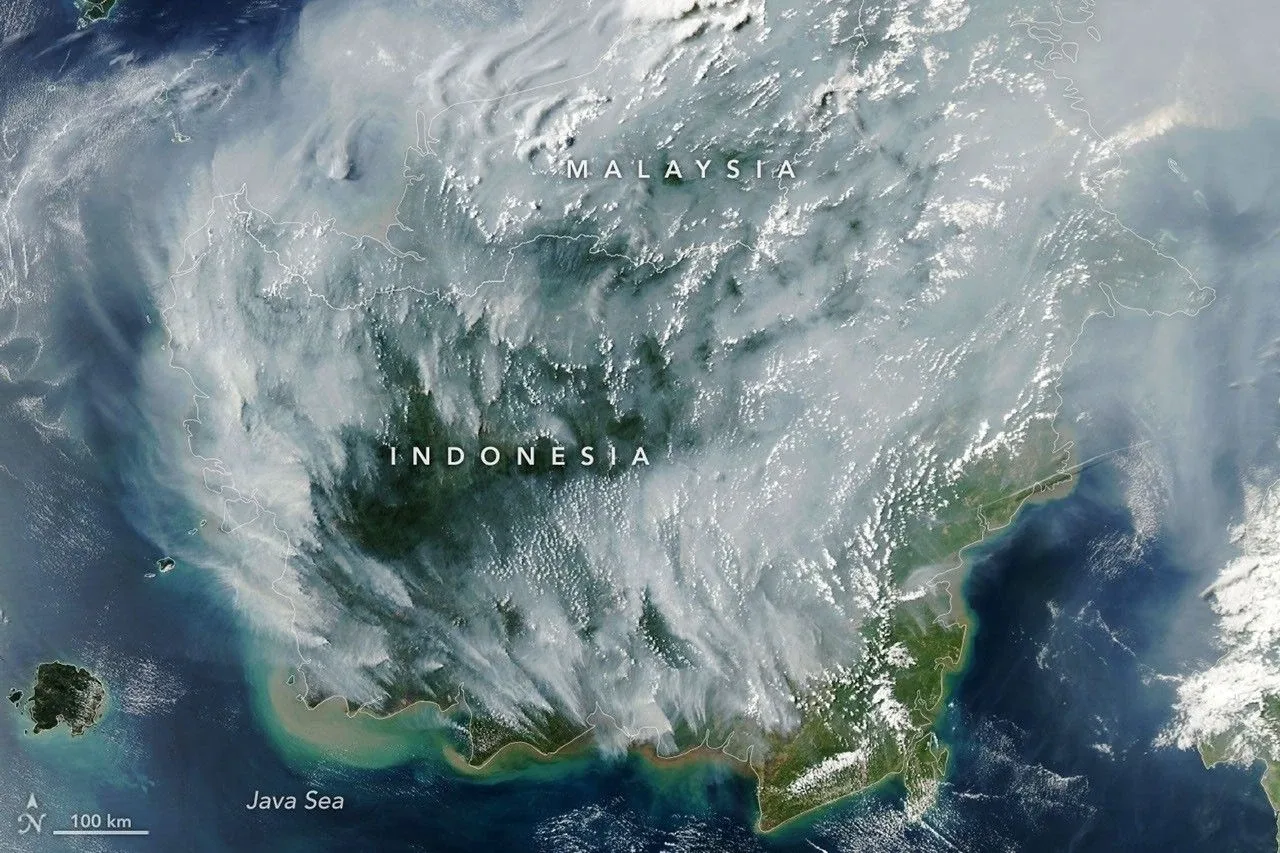 Imej satelit asap kebakaran di Borneo pada 1 September 2026. &mdash; Foto: Lauren Dauphin / NASA Earth Observatory.