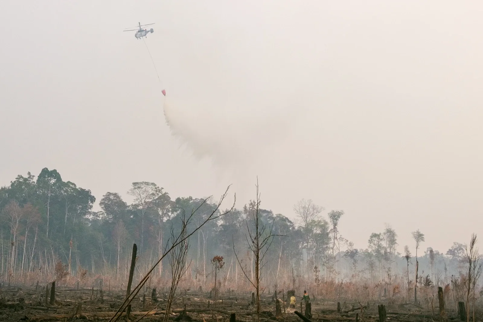 Foto arkib helikopter membantu operasi pemadaman di Taman Negara Sebangau, Kalimantan Tengah, Indonesia pada 22 September 2019. Foto DenY Krisbiyantoro/Wikimedia Commons